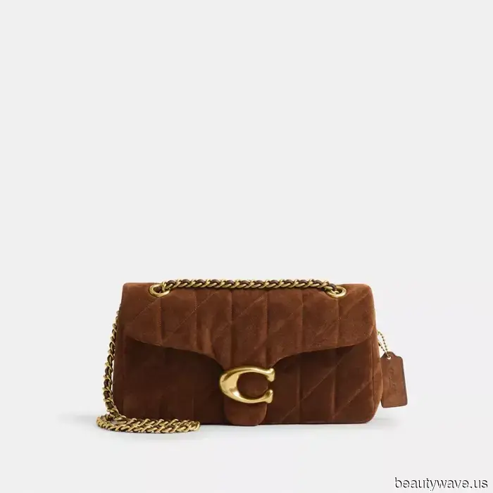 The Chic It Bag That Every Fashion Editor and Trendy Celebrity Desires to Carry This Fall