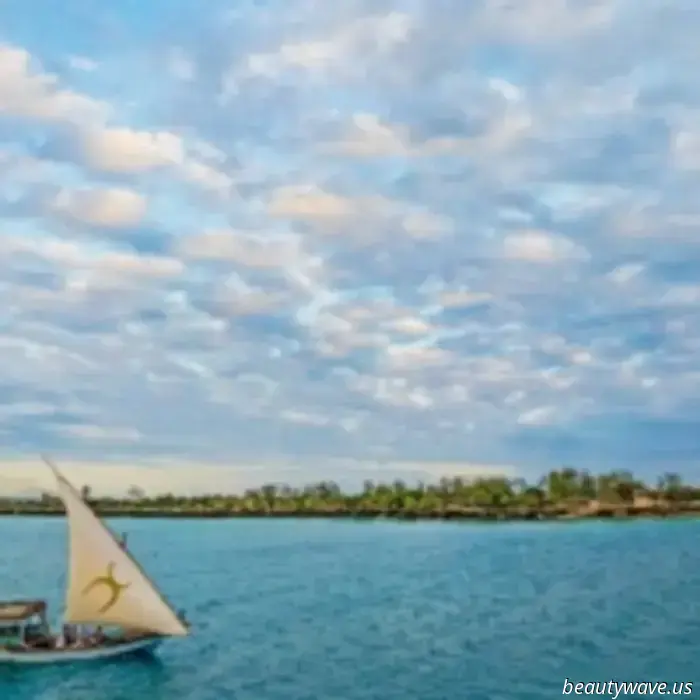 New Year's magic at the hotels of TheCocoonCollection group