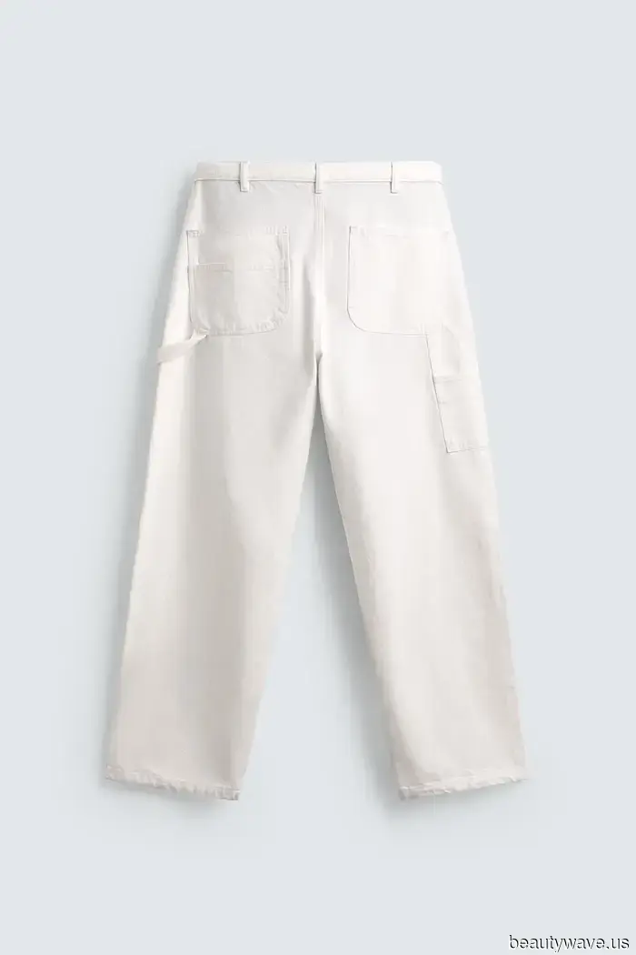 The new Aaron Levine x Zara collection has just launched—21 items that appear stylish and modern.