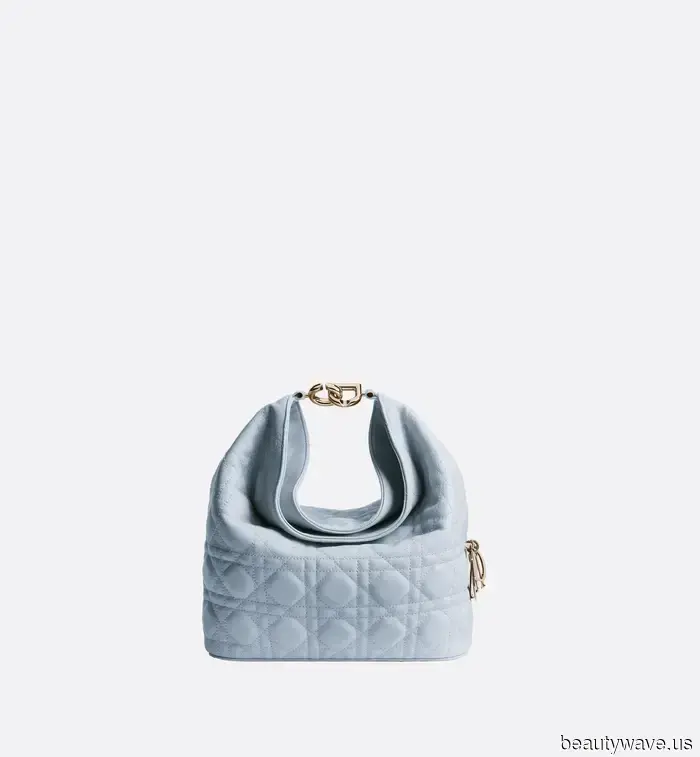 Non la Signora, Non la Sella&mdash;la Nuova Borsa Dior Che Definirà l'Autunno 2026
