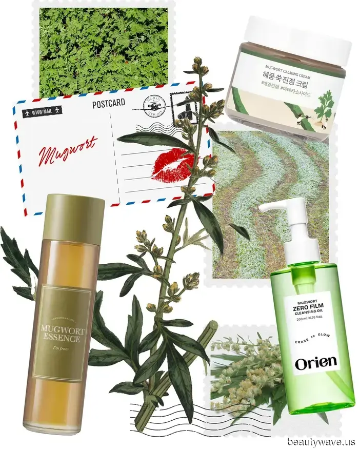 From Ginseng to PDRN: 5 Korean Skincare Ingredients Driving the Popularity of High-Performance Products Online