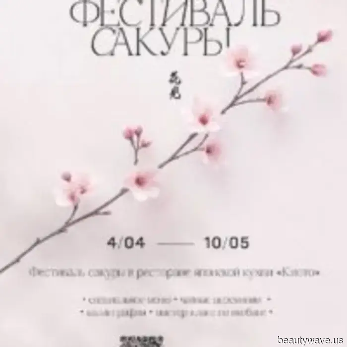 Sakura-Festival im Restaurant „Kyoto“