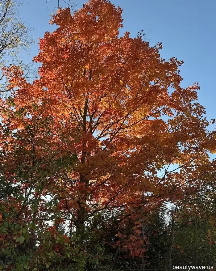 I reside in the Midwest and dislike the yearly time change—these 14 beauty and wellness products help me cope.