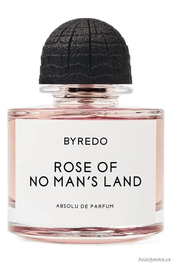 Sono un editor ossessionato dai profumi e consiglio queste 15 fragranze Nordstrom a chiunque voglia ascoltare