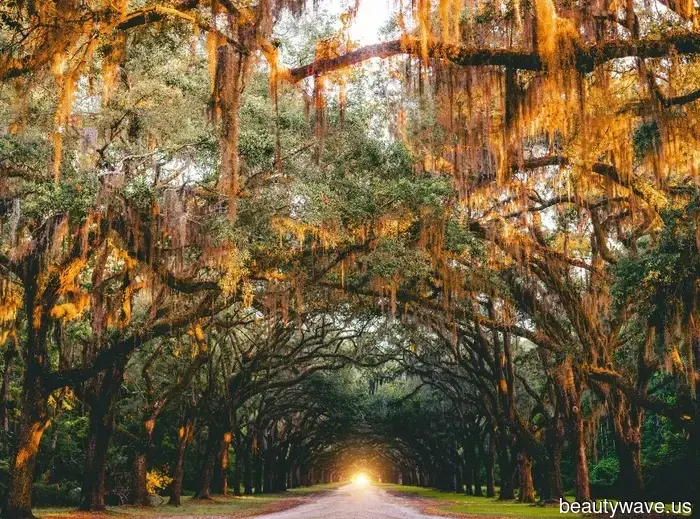 Prepare Your Luggage: Top Autumn Destinations to Explore This Season