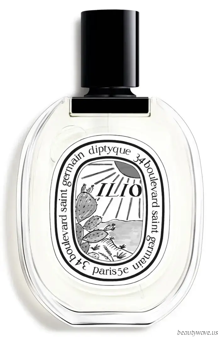 Sono un editor ossessionato dai profumi e consiglio queste 15 fragranze Nordstrom a chiunque voglia ascoltare