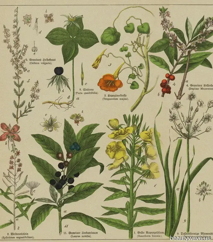 If Misty Hills, Antique Candelabras, and Victorian Lace Had a Fragrance, It Would Be Represented by These 17 Enigmatic Perfumes.