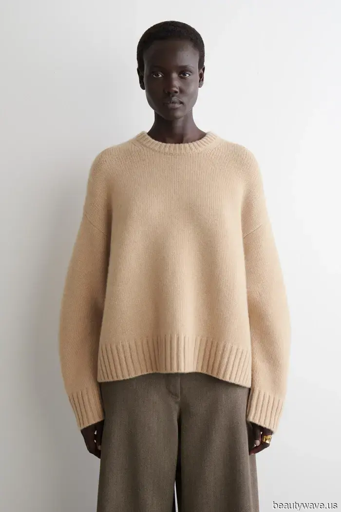 Ho appena risparmiato 1200 dollari acquistando questo maglione COS virale invece del suo riferimento di design.