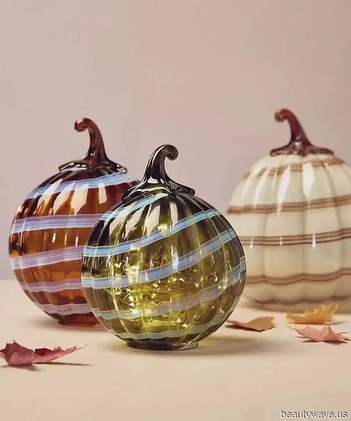 Every Fall Essential You Require to Ensure This Season Becomes the Best One Yet