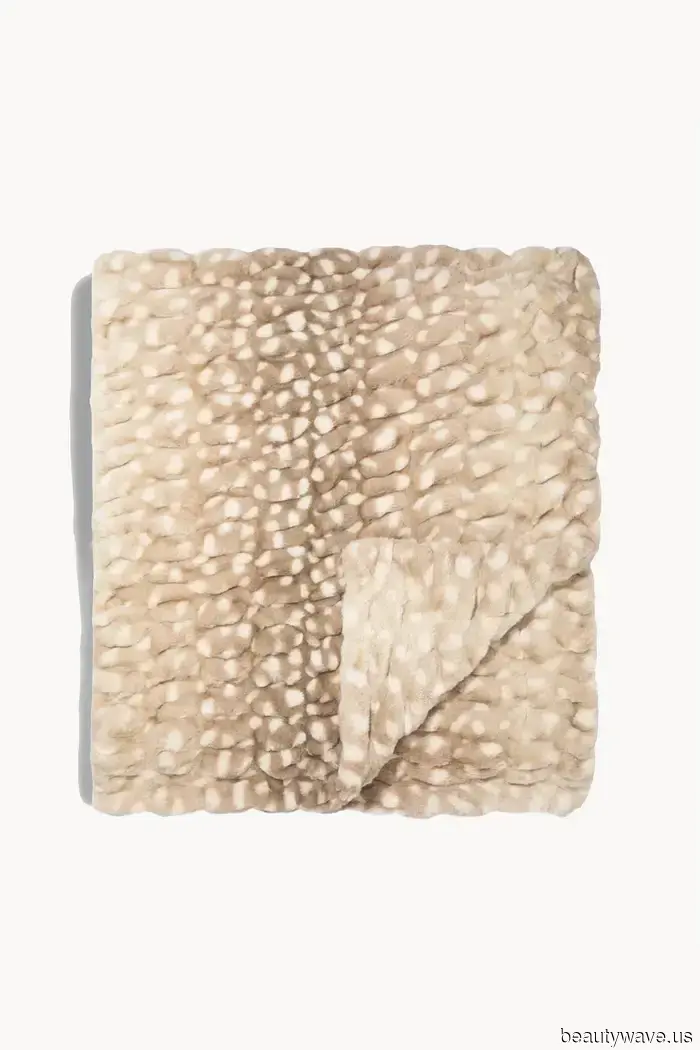 39 Comfortable New Additions for Any Type of "Back to" Experience You’re Preparing For
