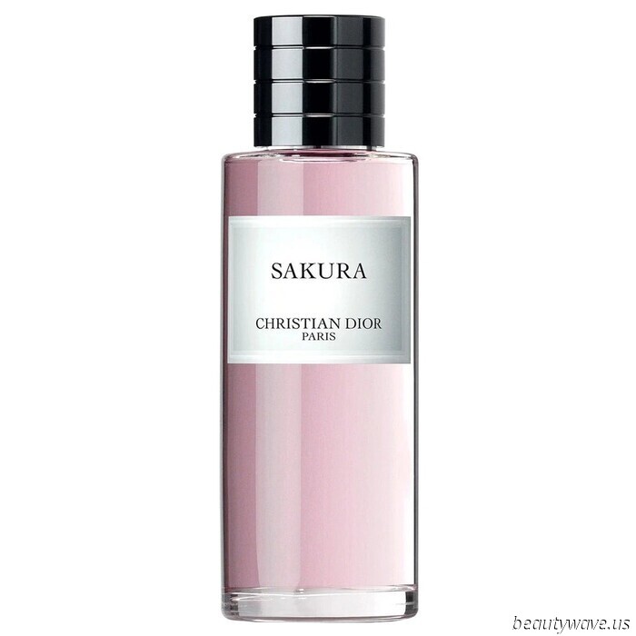 All of a sudden, my entire perfume shelf is overrun by Cherry Blossom—these 12 have the most luxurious scents.