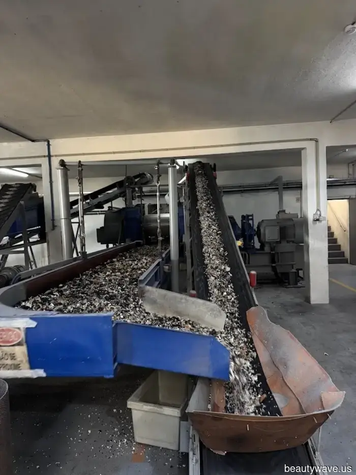 Trust Me—I've Just Returned from a Trip: People in Portugal Frequently Wear These Shoes.