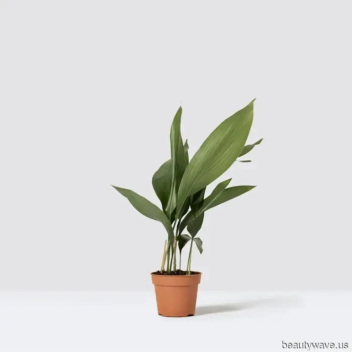 I'm an Interiors Expert—9 Trends That Are Currently Shaping Home Décor This Winter