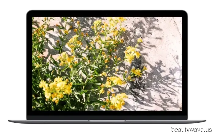 Fondos de Leo Tech: Fondos de pantalla para tu energía radiante