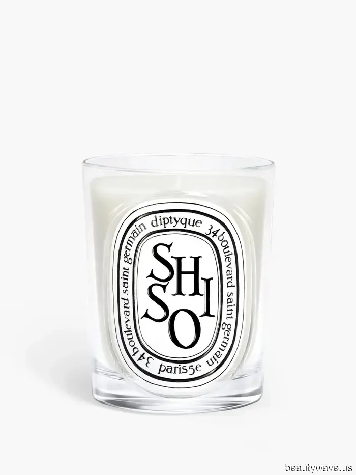 I tried out the 12 It Candles of 2026—here are my impressions.